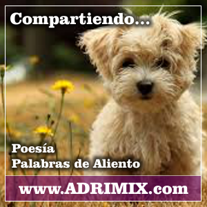 (c) Adrimix.com